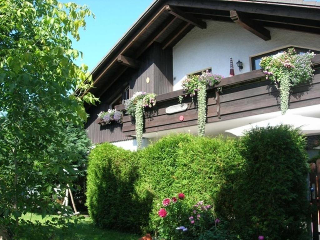Harzhaus Rauch Daire Braunlage Oda fotoğraf